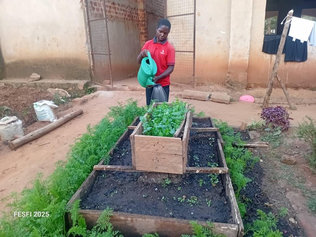 Container gardening is cheap and manageable