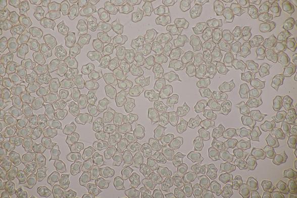 Posted media